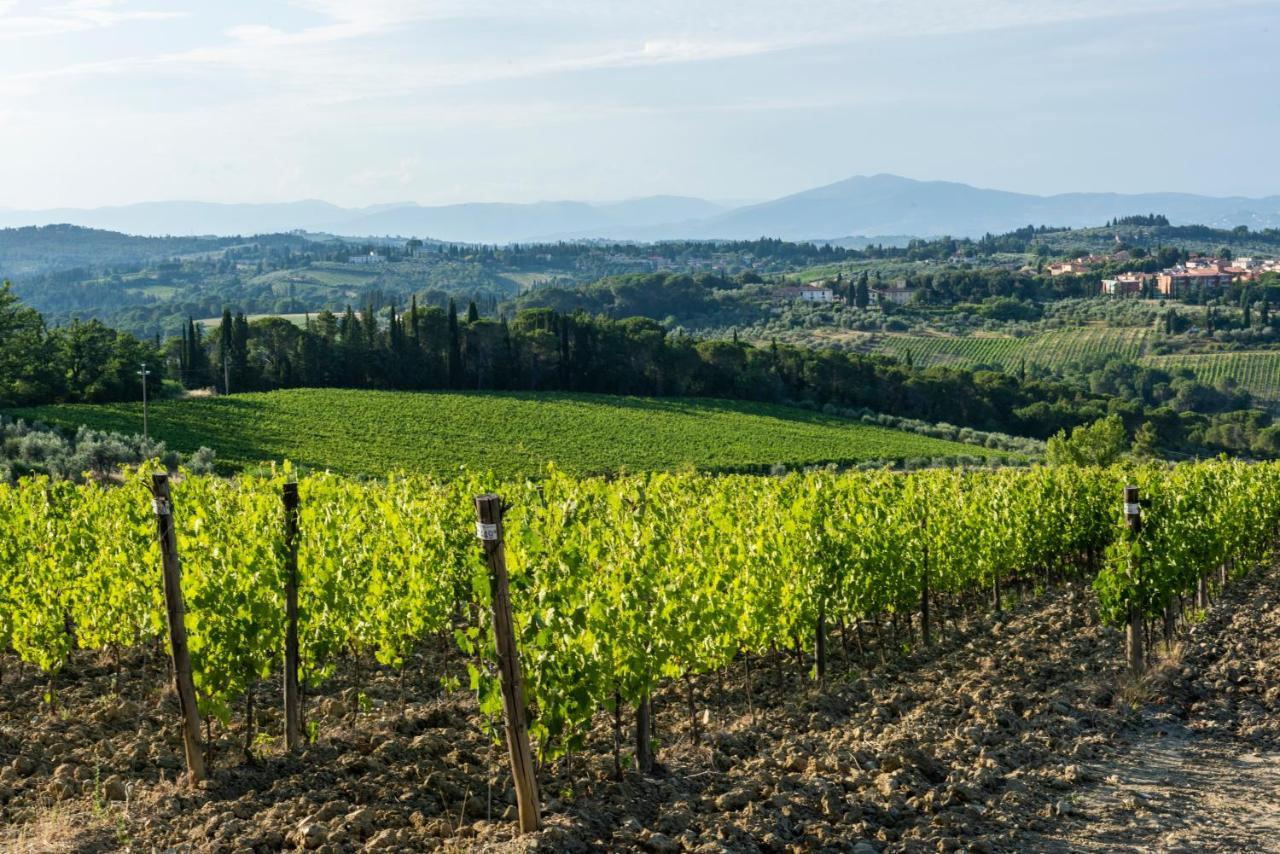 Tenuta Poggio Ai Mandorli Greve in Chianti Ngoại thất bức ảnh