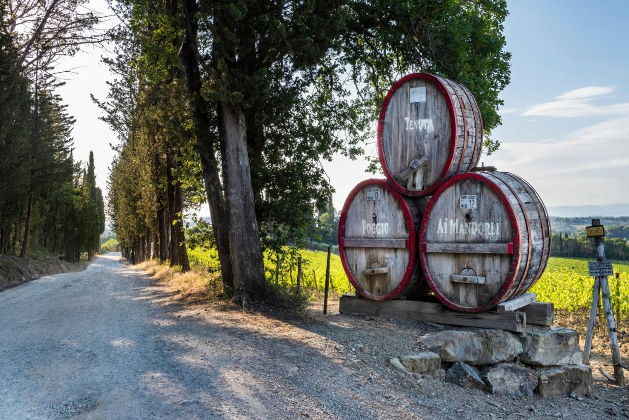 Tenuta Poggio Ai Mandorli Greve in Chianti Ngoại thất bức ảnh